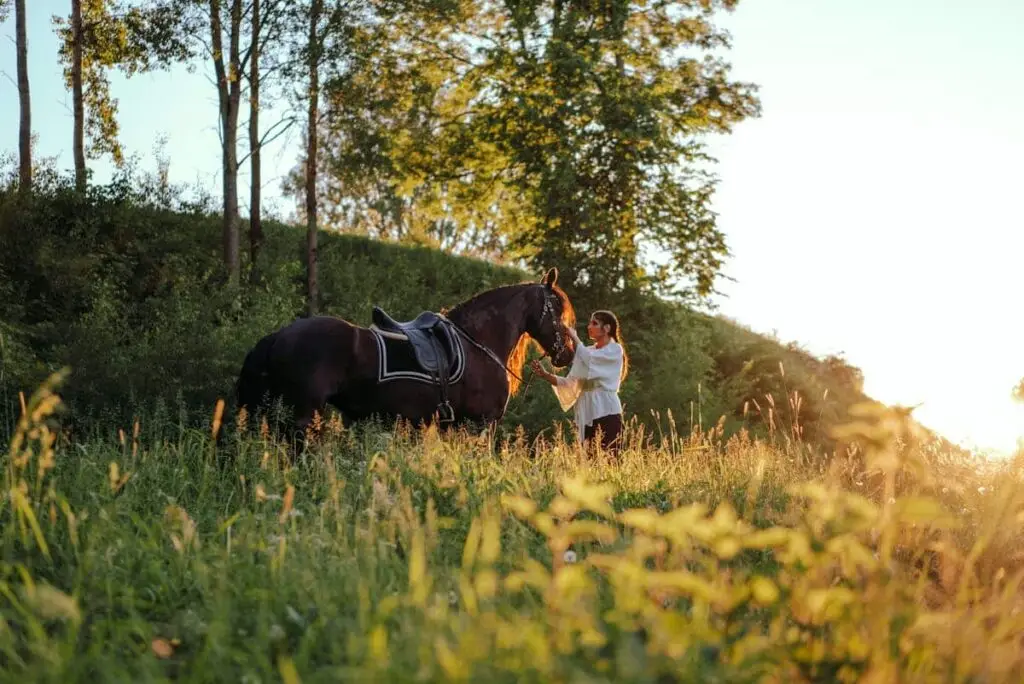 Equine Therapy - Woman with a Horse in Nature
