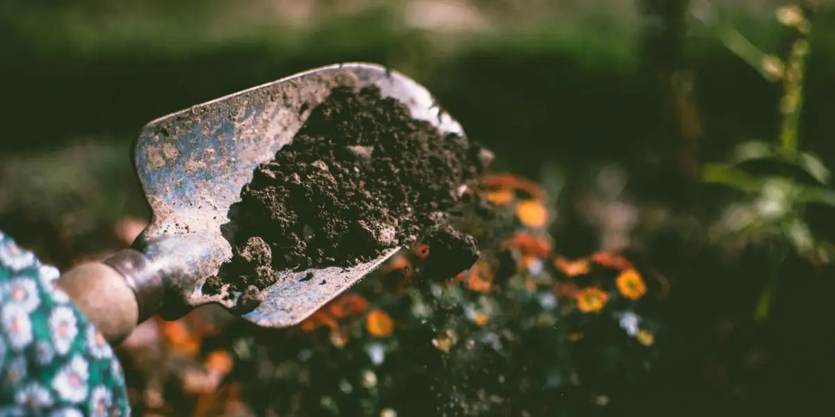 Exploring the Benefits of Gardening and Nature Activities in Addiction Recovery