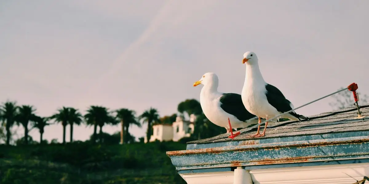 What Makes Malibu A Great Location For Rehab