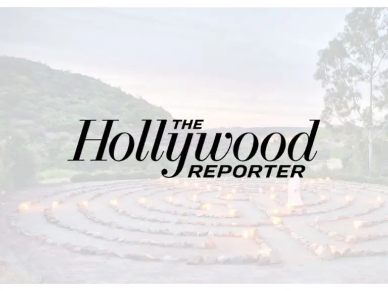 hollywood reporter