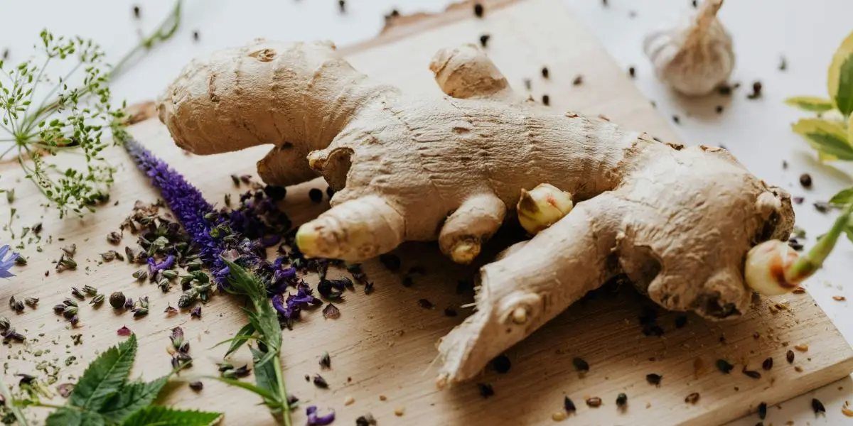 The Impact of Taste & Aroma on Healthy Eating Habits