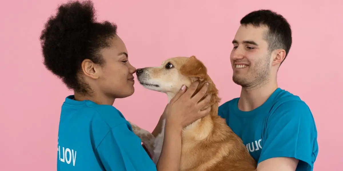 Cultural Impact on Attitudes, Welfare, & Rehabilitation of Animals