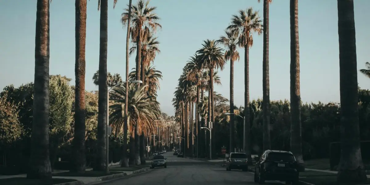 What Makes Beverly Hills a Great Location for Addiction Rehab