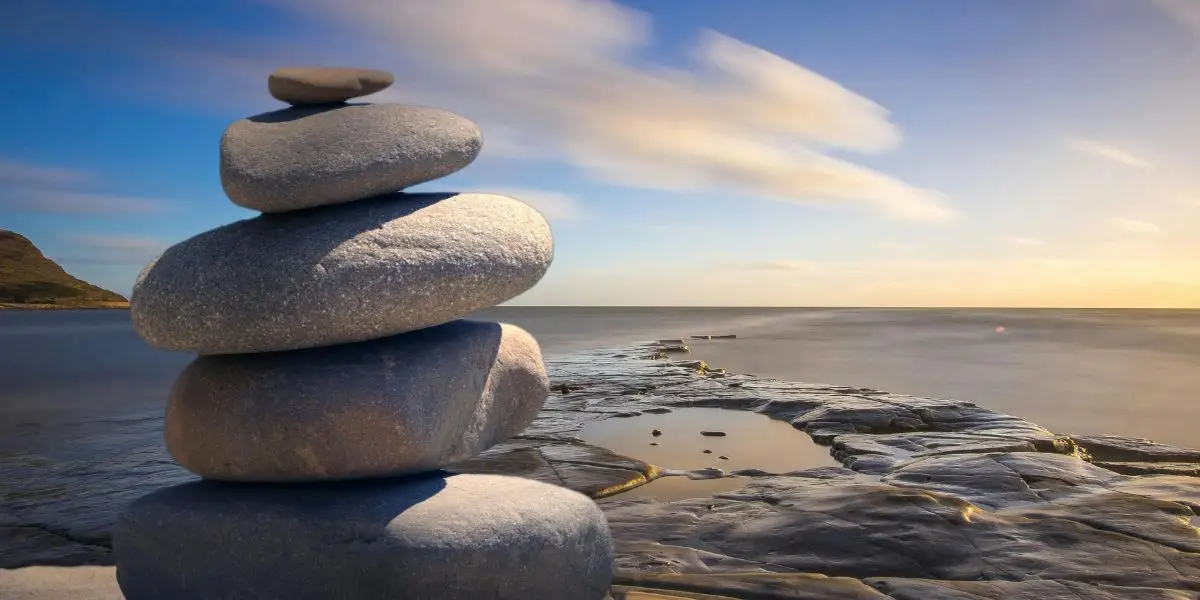 Wellness Culture in Los Angeles and Its Influence on Celebrity Rehab Programs