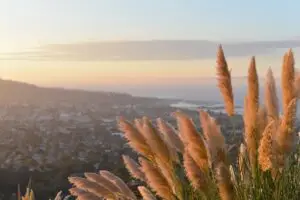 Is The Best Rehab In Malibu Also The Best Place For Long-Term Recovery? Is The Best Rehab In Malibu Also The Best Place For Long-Term Recovery?